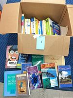Overall lot in open box with visible dictionaries and guides