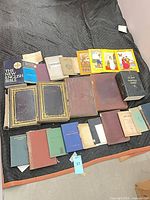 Full lot overview showing approximately 25 books of various sizes and bindings on blanket