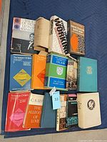 Group shot of all fourteen books spread on blue quilted surface