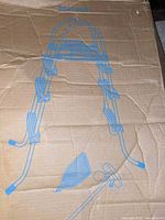 Cardboard box top showing line art of assembled pool ladder