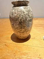 Front view showing overall shape and fossil pattern