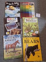 All six art instruction books laid out on floor