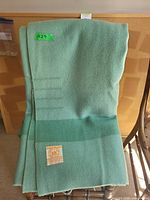 Pastel green wool blanket draped over chair showing woven label and subtle banding