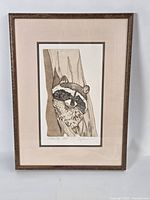 Full framed raccoon etching showing mat and frame