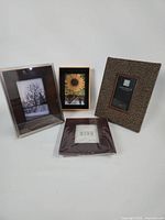 All four frames group shot