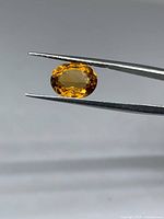 Front view of oval citrine held in tweezers