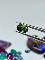 Oval green tourmaline held in tweezers showcasing color and cut