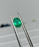 Emerald held in tweezers showing oval cut and green hue