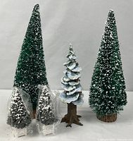 Group view of all five trees