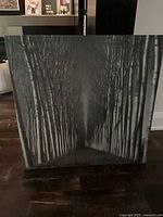 Front view of monochrome forest path canvas