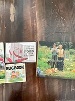 Front covers of The Bug Book, An Illustrated Guide to Growing Food on Your Balcony, The Garden That You Are
