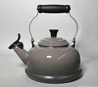 Front view of grey Le Creuset whistling kettle with lid and handle