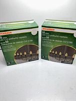 Front view of two boxed Sylvania LED C12 pathway marker light sets
