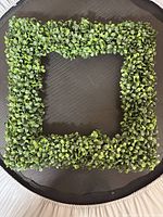 Full view of square artificial boxwood frame on dark background