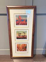 Full view of framed trio showing three prints and frame