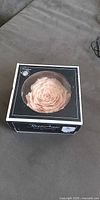 Boxed preserved rose showing packaging and rose color