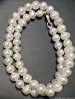 Entire necklace coiled showing pearls and clasp