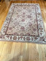 Full view of area rug showing overall pattern and colors