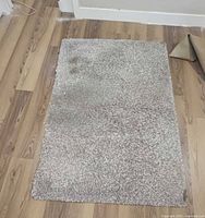 Light beige shag rug on wood floor