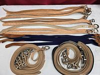 Overview of leather and webbing belts laid out and coiled