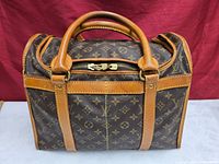 Front view of Louis Vuitton Sac Chaussures showing monogram canvas, leather trim, handles, zipper