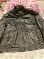 Front view of Danier black leather jacket showing overall condition and design