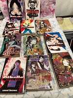 Front covers of thirteen manga laid out