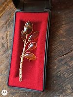 Brooch in case showing cabochons and twisted stem