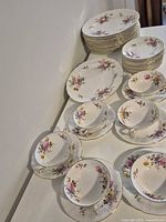 Entire dinner set arranged on table showing plates, bowls with saucers, and platter