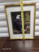 Front view of framed photograph with tape showing height ~15 in