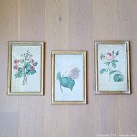 All three framed botanical prints displayed side by side