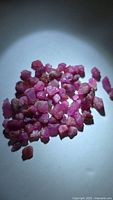 Pile of small rough pink ruby crystals on white background