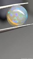 Round translucent opal cabochon with multicolor flashes held in gem tweezers