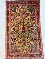 Full view of entire rug showing pattern and borders
