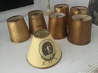 Front view of all eight shades, six gold, two cream cameo