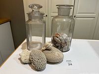 Both glass jars, lids, assorted shells and coral pieces