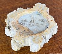 Top view showing bowl cavity and natural edge