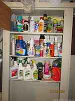 Full cabinet view showing three shelves filled with assorted cleaning and garden care products