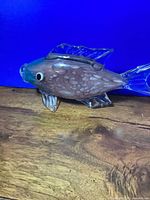 Right side view of mottled pink body, blue head, clear fins