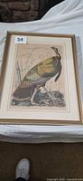 Framed Audubon wild turkey print front view