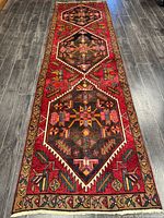 Full view of runner rug showing entire length and pattern