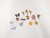 All thirteen brooches laid out