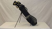 Full view of bag on stand with clubs
