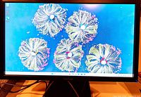 Monitor powered on displaying desktop