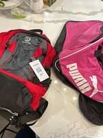 Both bags side by side showing overall style and condition
