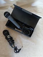 Both microphones, one in open case