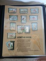 Album page titled Lesotho Birds with nine mounted stamps