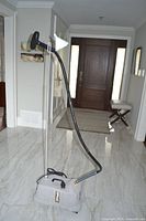 Full view of Jiffy upright steamer showing base, hose, pole, and steam head