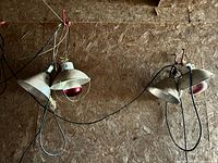 Five clamp heat lamps with red bulbs hanging on wall