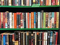Two shelves holding thirty assorted paperback fiction books with visible authors and titles